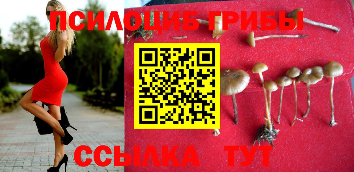 Псилоцибиновые грибы MAGIC MUSHROOMS Семёнов