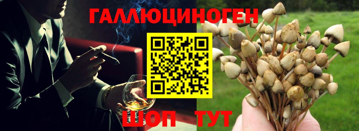 Семёнов  Псилоцибиновые грибы Cubensis  Вход с VPN 